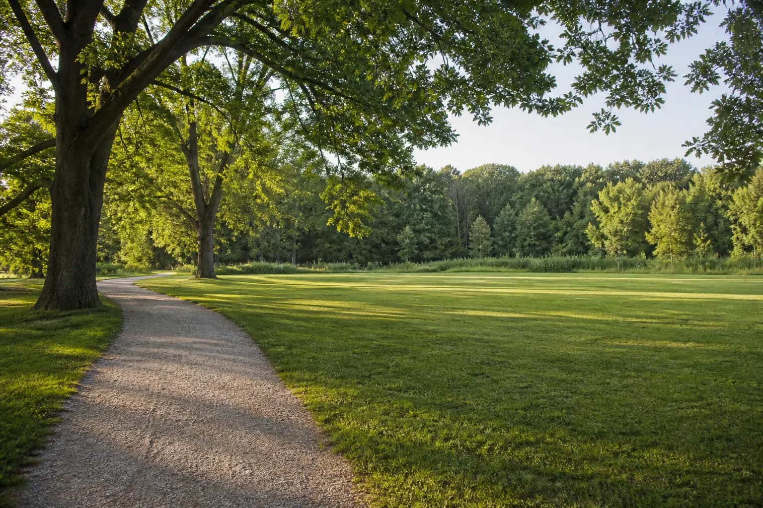 Neighbourhood park and oak meadow context planned near Preserve North
